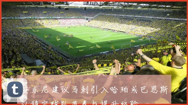 安东尼建议马刺引入哈珀或巴恩斯以稳定球队节奏与提升经验